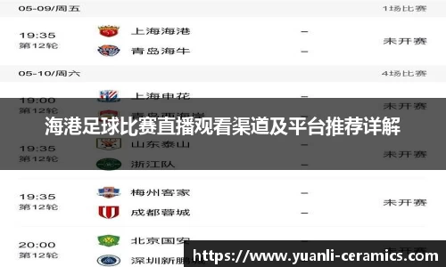 海港足球比赛直播观看渠道及平台推荐详解